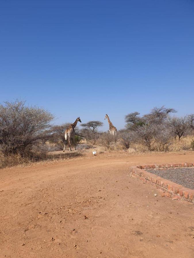 42@ Ditholo Game Lodge サバジンビ エクステリア 写真