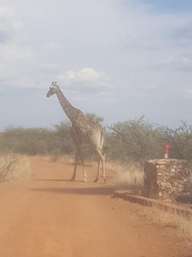 42@ Ditholo Game Lodge サバジンビ エクステリア 写真